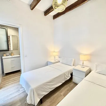 Piso Con Dos Con Camas Dobles Y Terrazas En El Poblenou Daire
